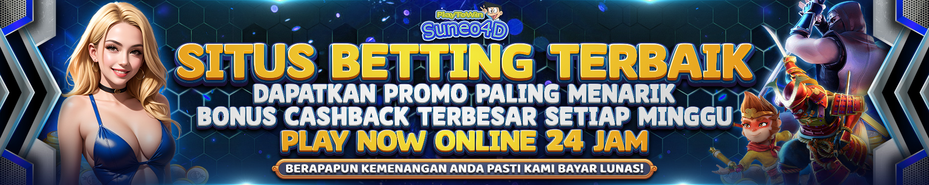 SUNEO4D SLIDE BANNER PC 1